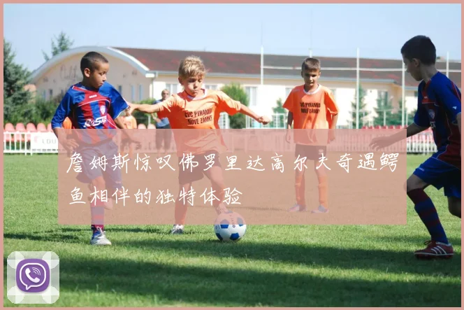詹姆斯惊叹佛罗里达高尔夫奇遇鳄鱼相伴的独特体验